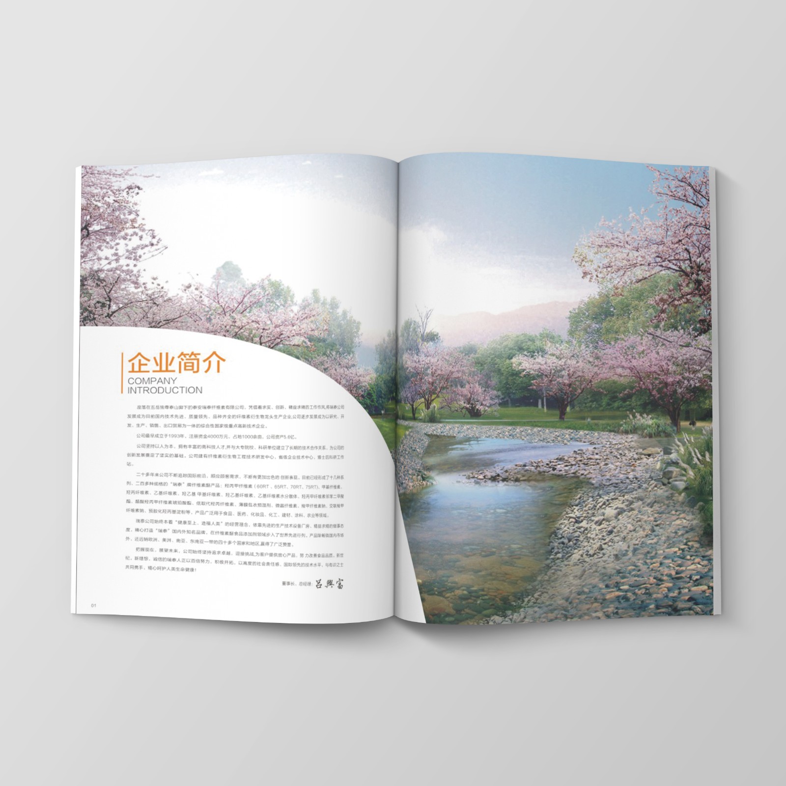 泰安瑞画册设计